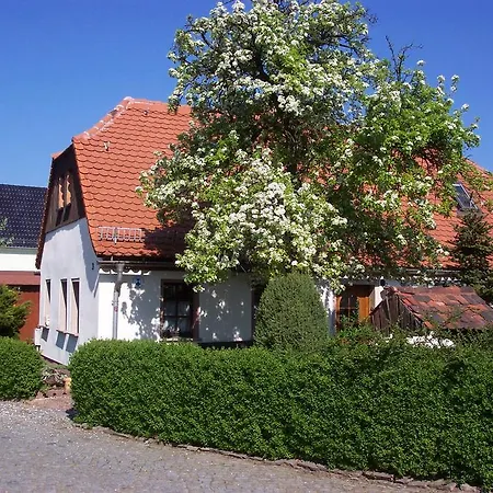 Elbe Radstation * Zeithain